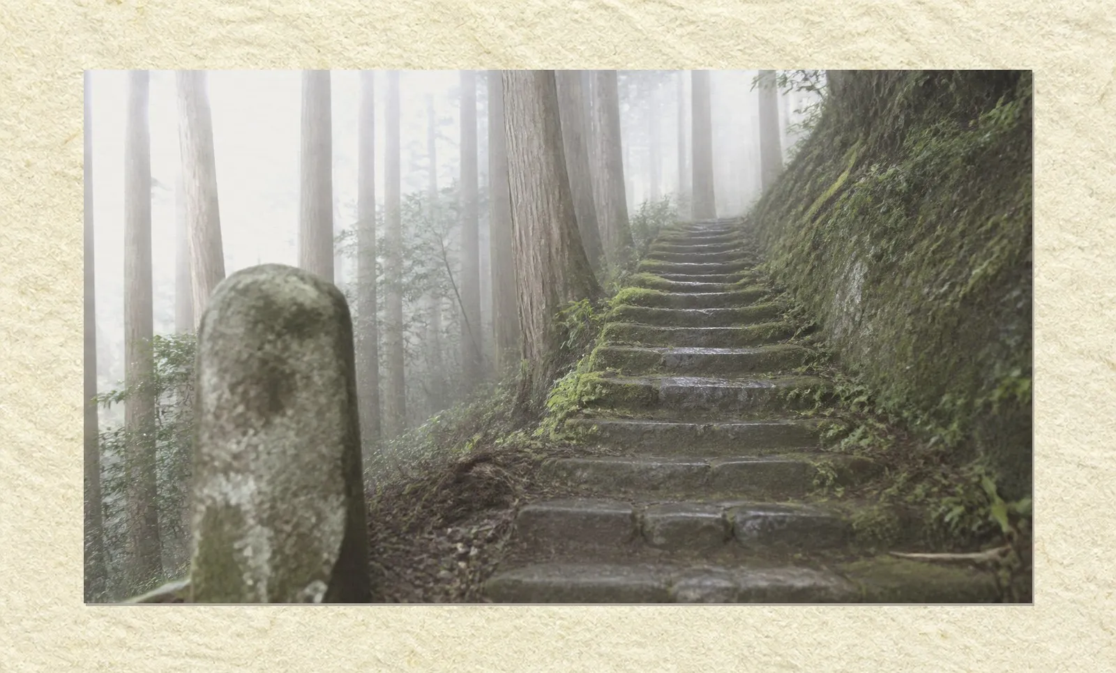 A narrow stone stairway climbing through mist on a wooded hillside, mounted on a sheet of pale paper with a narrow margin around it. The steps are old and uneven with moss along their edges. In the foreground, slightly out of focus, stands a weathered stone marker, plain and carrying no lettering. Tall cedar trunks recede into white mist behind, fading plane by plane. No people are present.
